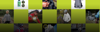 Grid images showcasing Cycle to Work Day prizes: Proviz cycling jacket and gloves, Proviz backpack, Ortlieb fuel pack.
