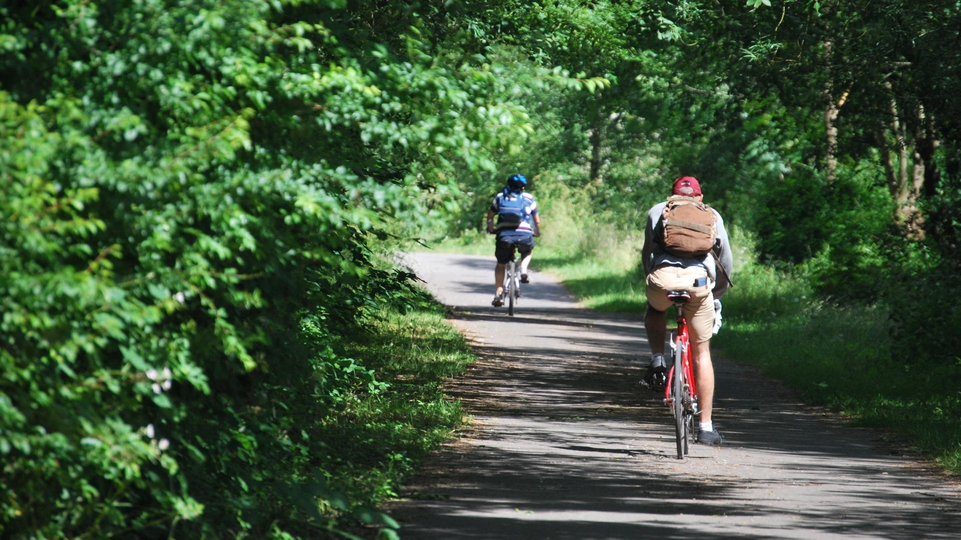 Cyclists on traffic-free, tree lined cycle path