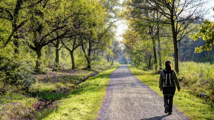 Person with backpack walking on gravel track through sunny woods