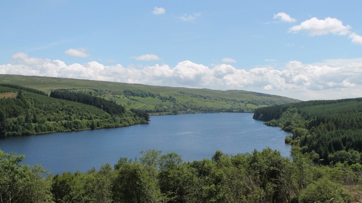 Reservoir surrounded by trees and green fields
