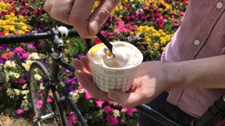 Someone holding ice-cream with bike and flowers in background