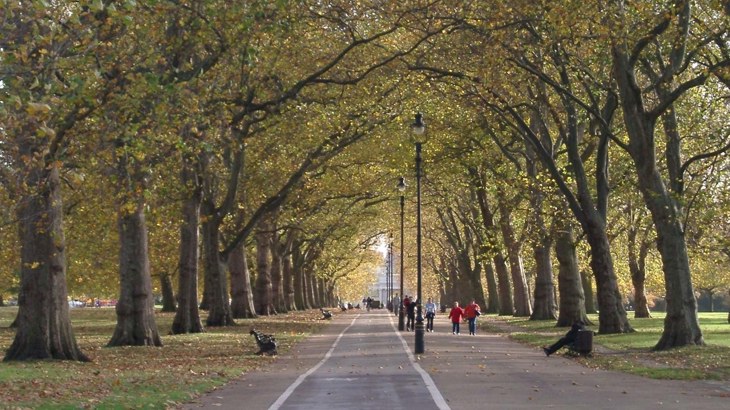 Cycling and walking path through a park