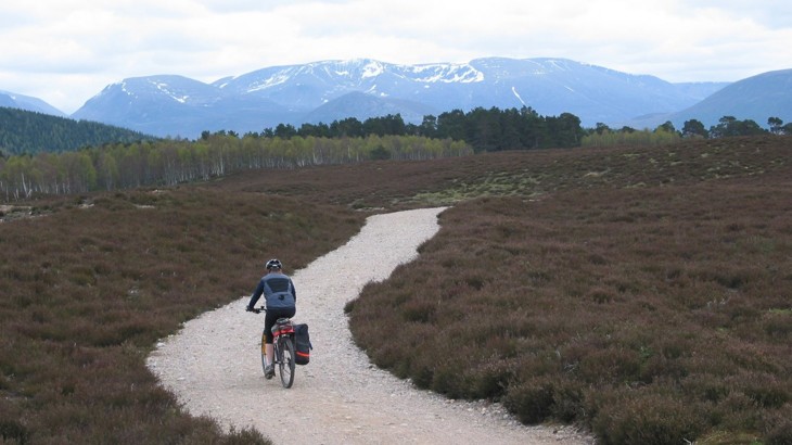 Cyclist on gravel path  with heather either side, plus forest and mountains in the distance
