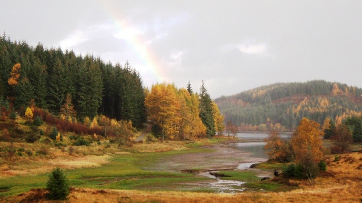 View of hills covered with pine trees and edges of loch visible, rainbow in the sky