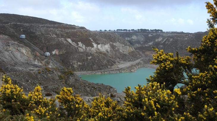Looking through gorse down onto a a man made lake from clay workings.