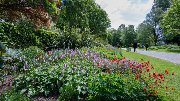 A flower bank in a park in Wales