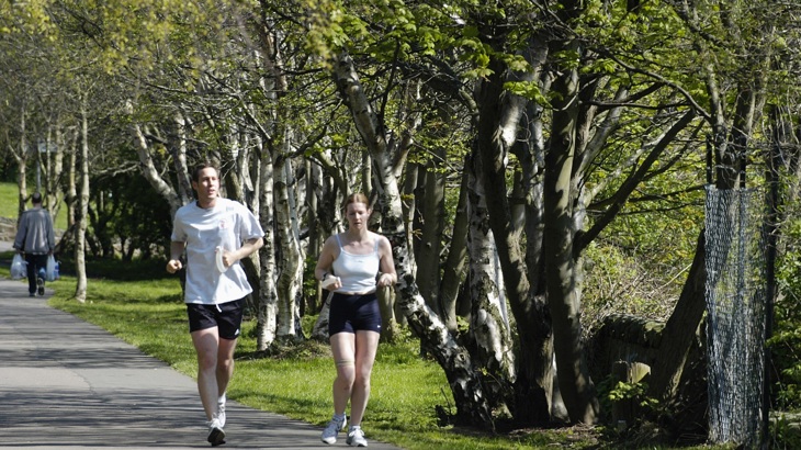 Two people running along tree-lined path