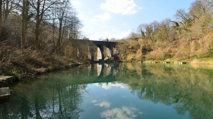 Body of water with viaduct and trees