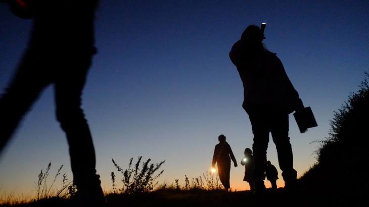 Silhouettes of people against the sky with torches at dusk