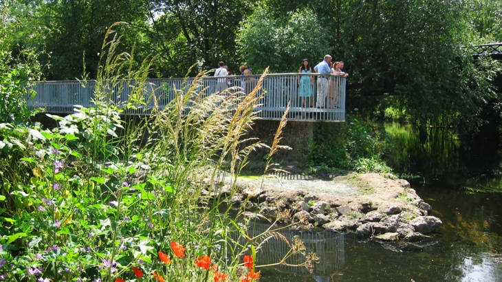 Viewing platform with people on it suspended above river with trees and greenery