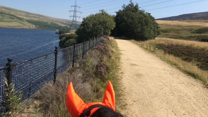 A view of the Trans Pennine Trail from on top of the horse