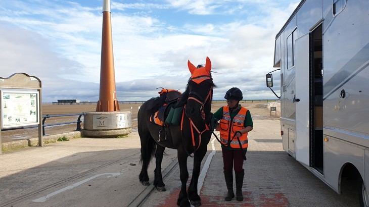 Sarah Bartlett Stands with her horse wearing high-vis clothing 