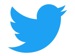 Eicon Twitter aderyn glas