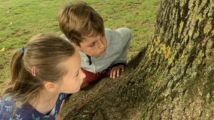 primary school children look at lichen on a tree
