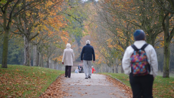 walking on a path under autumnal trees