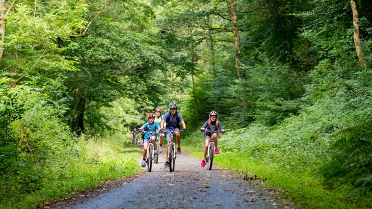 Three children cycle on the traffic-free Tarka Trail, an adult follows behind. All around are tall trees creating a lush, green corridor.