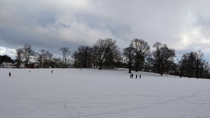 A snowy landscape with trees and people walking in the background